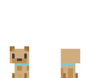 little puppy