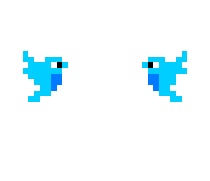 pajaro ouner