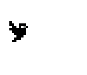 black bird