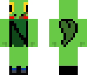 treecko boy 