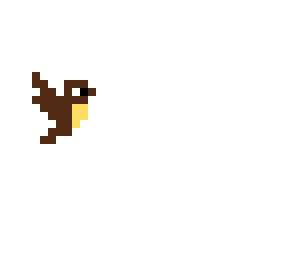 bird