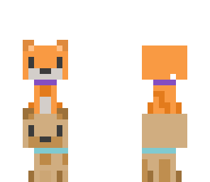 cute pets