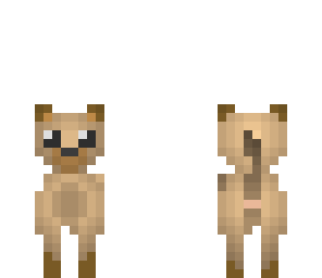 adult dog