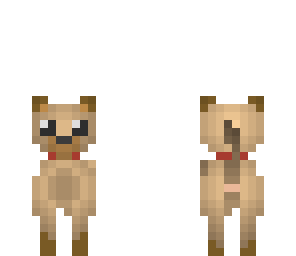 dog with collar