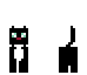 black cat