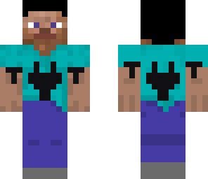 energy steve