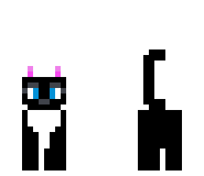 tabby cat