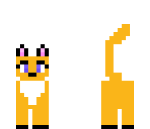 kitty
