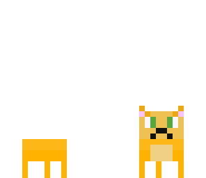kitten 