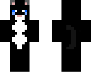 cat  9