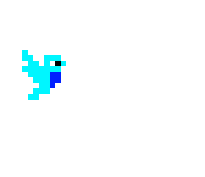 bird
