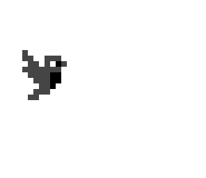 black bird