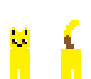 pikachu cat