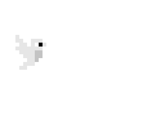 white bird