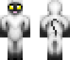 yellow eye cat