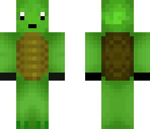 cool turtle