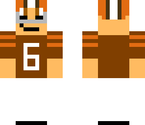 brian hoyer