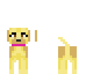 girl labrador