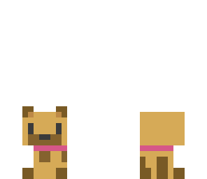 cute puppy