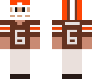 brian hoyer