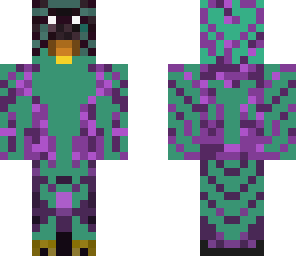 spider owl