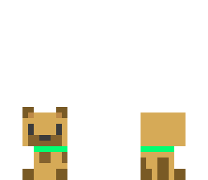 puppy 