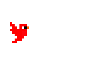 winter cardinal
