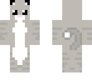 gray kitty