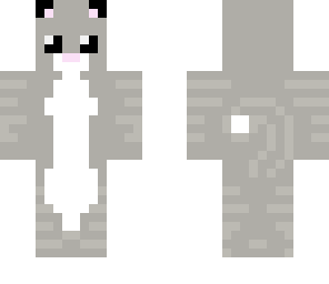 reverse gray kitty