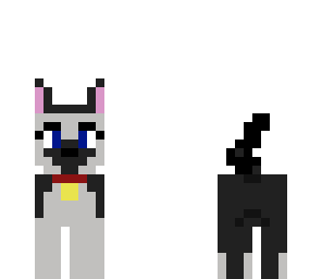 dog