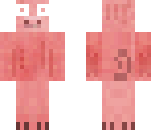 surprised pig
