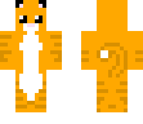 orange tabby cat