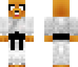 jake the karate dog