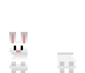 bunny