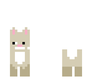 cute bunny
