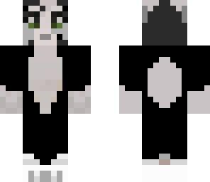 black cat