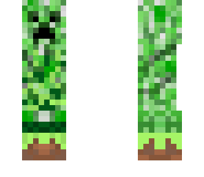 creeper on grass