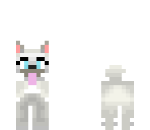 cute little wolf
