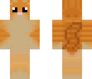 bugaloo24 cat