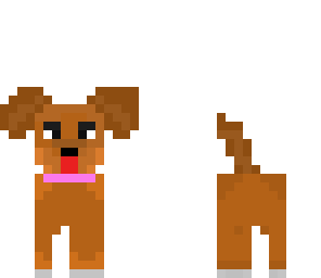 little dog