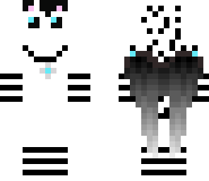 night the cat