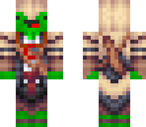 turtle assassin