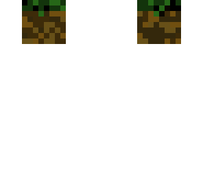 fix of dirt block