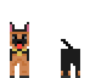perro
