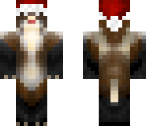 santa ferret