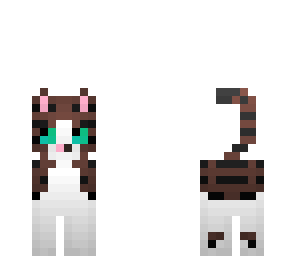 kitty cat