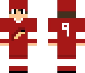 coyotes hockey