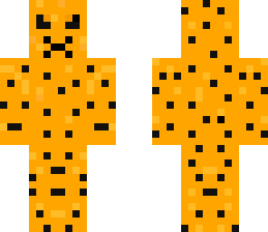 cheetah