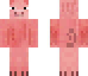 mustache pig