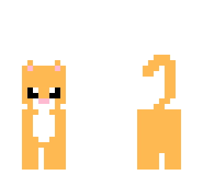 ilycatz